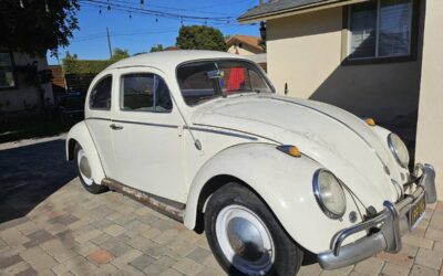 Vw bug 1962