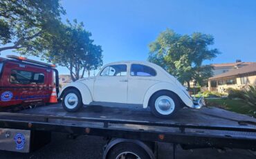 Vw-bug-1962-white-5