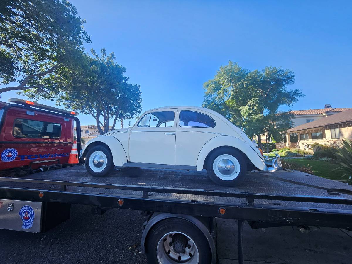 Vw-bug-1962-white-5
