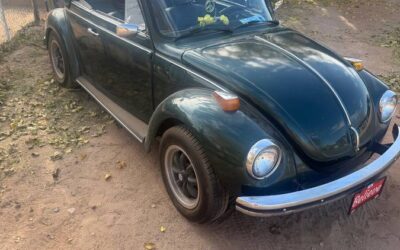 Vw bug 1973