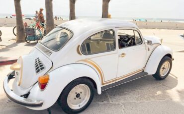 Vw-bug-1974-5