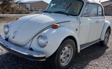 Vw-bug-1977-white