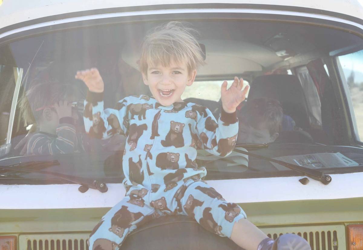 Vw-bus-1976-green-12