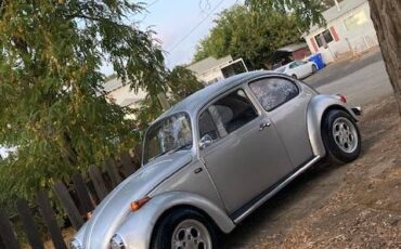 Vw-standard-beetle-1972-silver-8