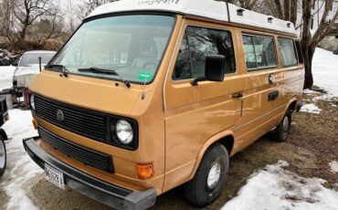 Vw-vanagon-1983-brown