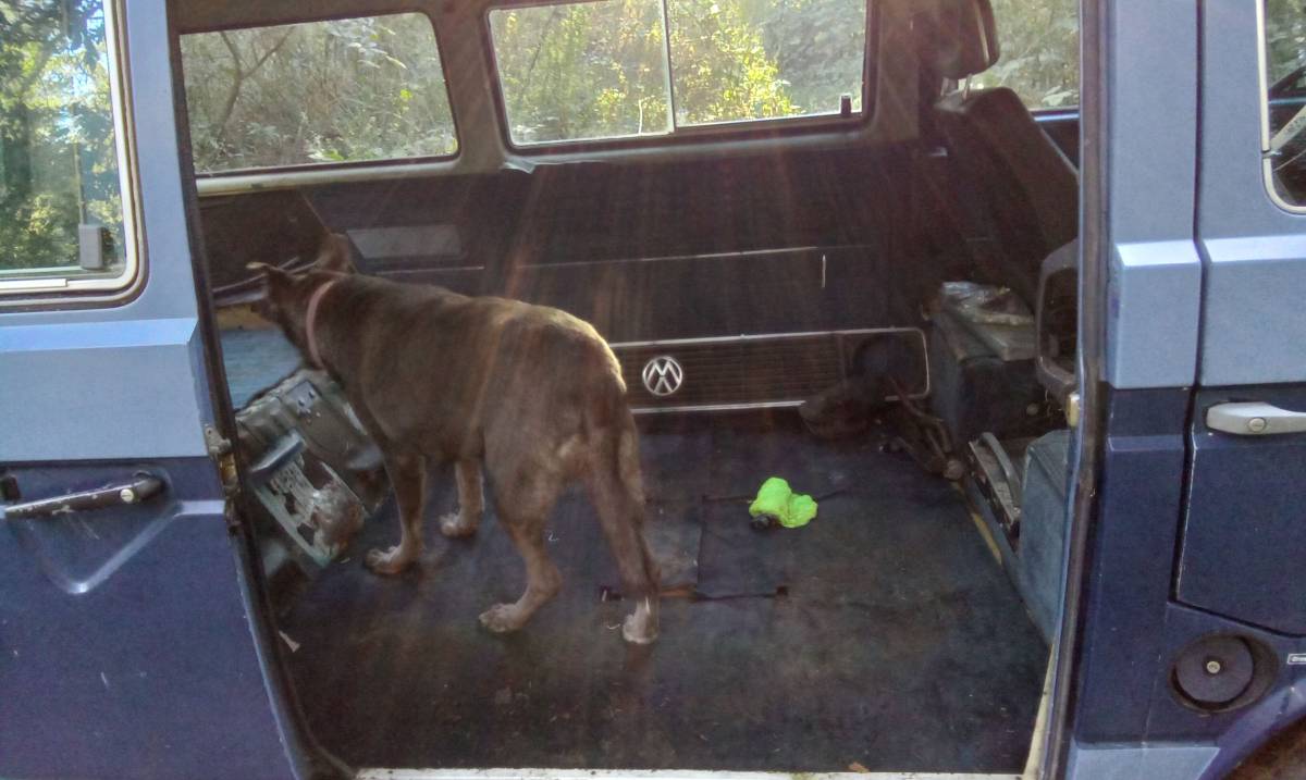 Vw-vanagon-diesel-1982-blue-6