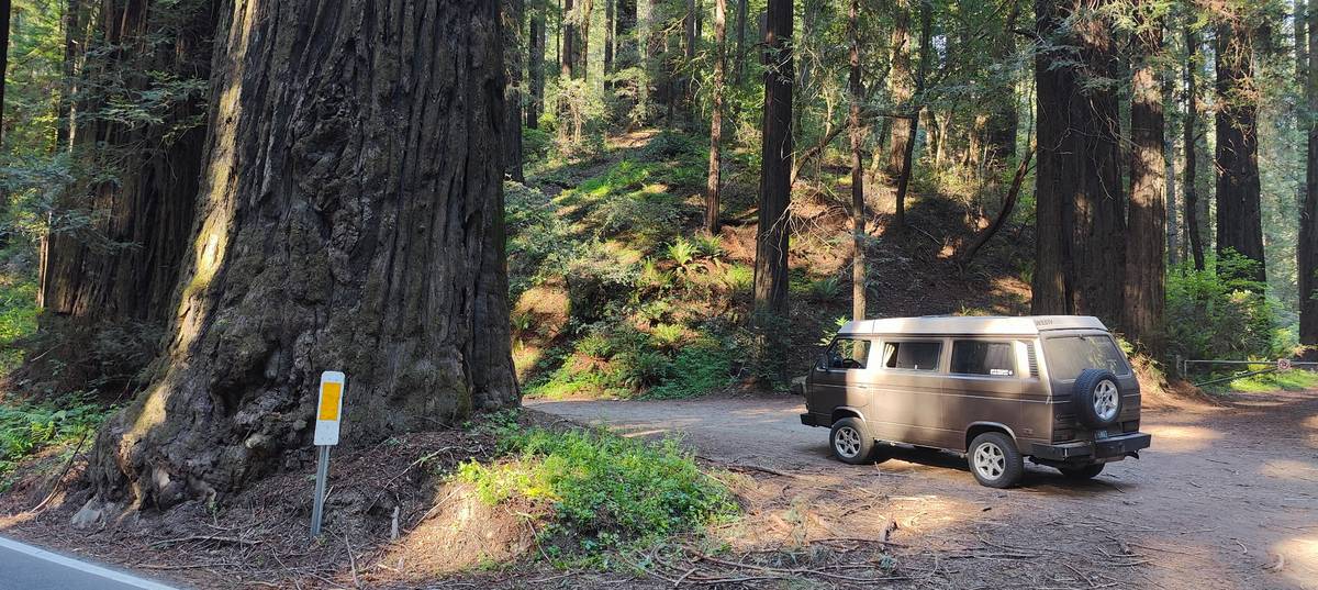 Vw-vanagon-weekender-1985-brown-7