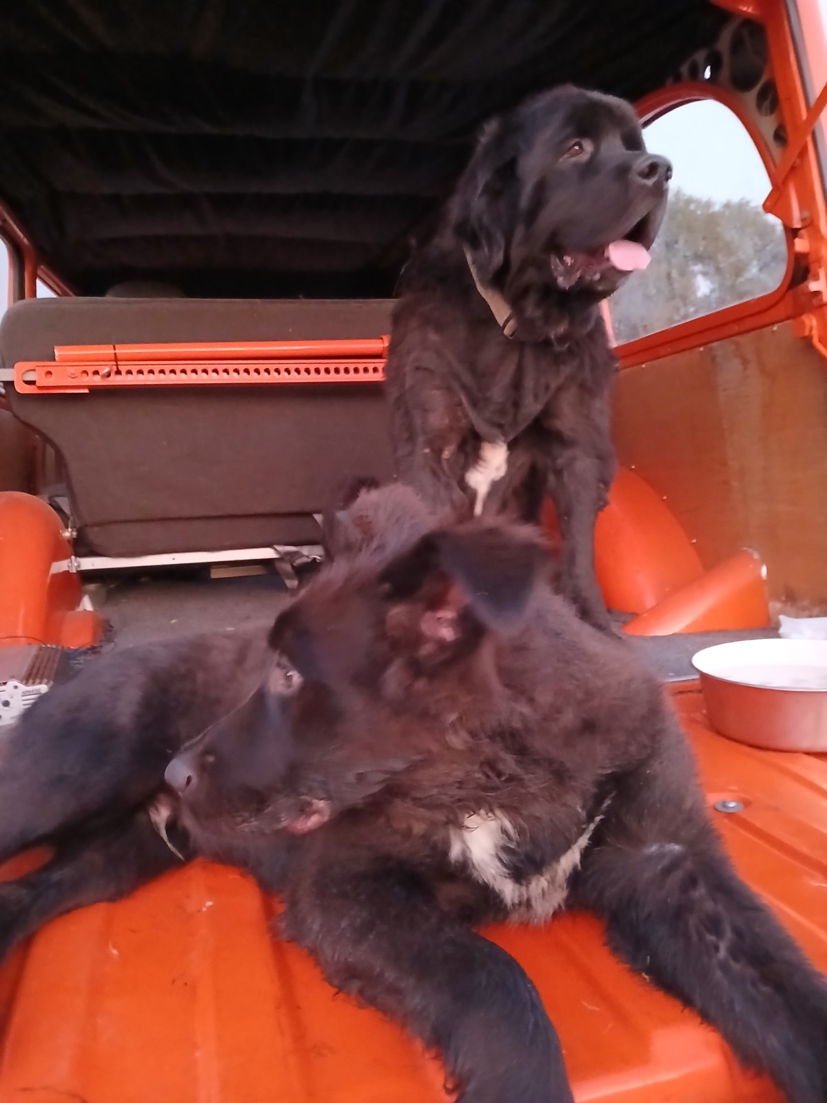 Willys-Overland-Model-90-1960-SUV-6