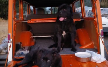 Willys-Overland-Model-90-1960-SUV-7