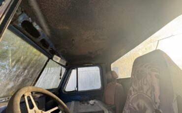 Willys-Pickup-1955-8