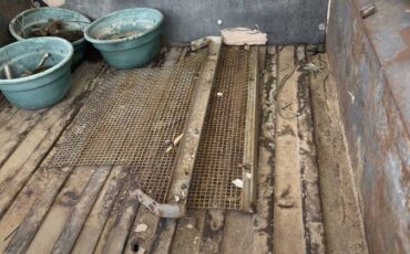 Willys-pickup-1953-custom-6