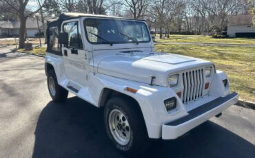 Wrangler-renegade-4.0-1993-white