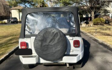 Wrangler-renegade-4.0-1993-white-4