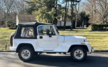 Wrangler-renegade-4.0-1993-white-5