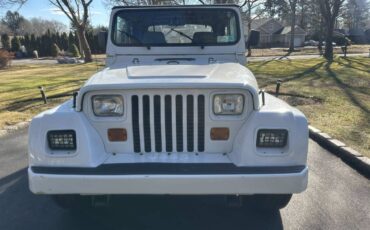 Wrangler-renegade-4.0-1993-white-6