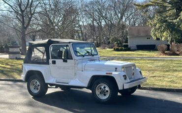 Wrangler-renegade-4.0-1993-white-7