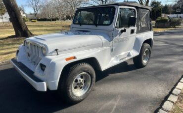 Wrangler-renegade-4.0-1993-white-8