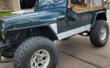 Wrangler-yj-se-1994-green-5