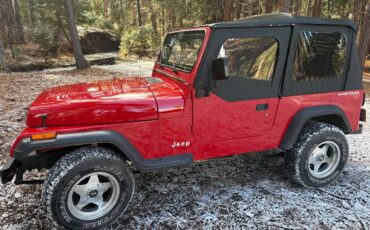 Yj-1994-red