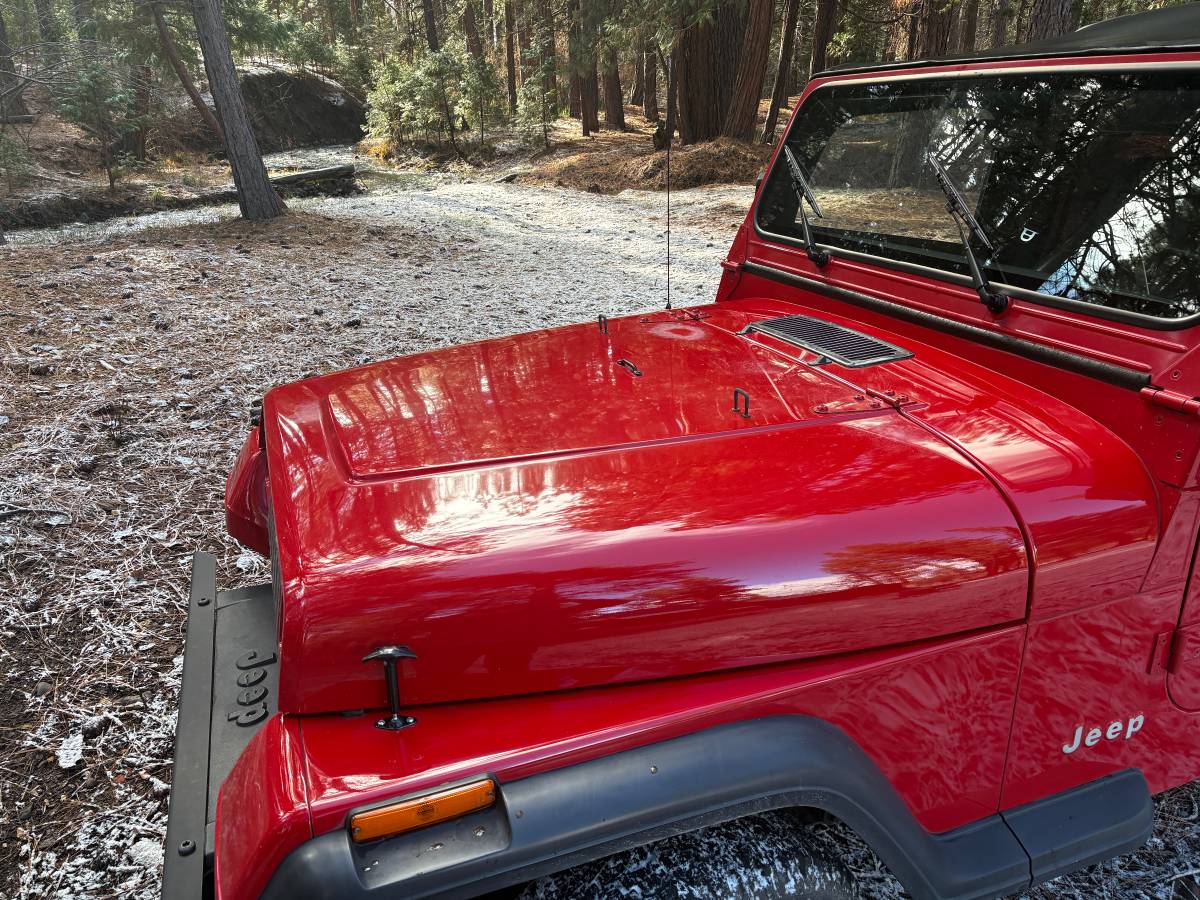 Yj-1994-red-8
