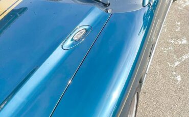 goodtimers-Ford-Mustang-1995-4