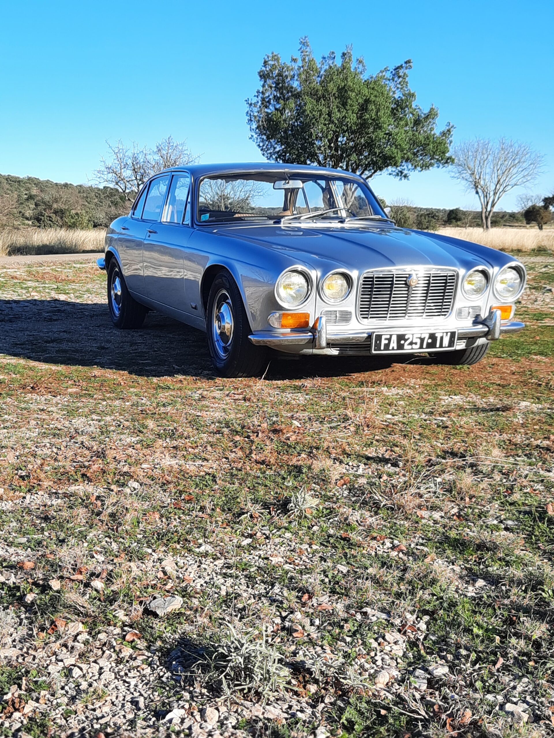 goodtimers-Jaguar-XJ6-1969-4