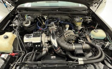 Buick-Regal-1987-Black-Gray-36