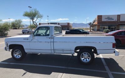Chevrolet C-10 1973 Standard Cab Pickup