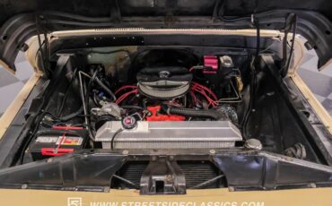 Chevrolet-C10-1966-Tan-Tan-1