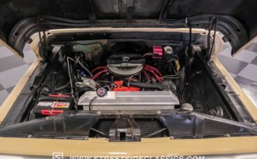 Chevrolet-C10-1966-Tan-Tan-29