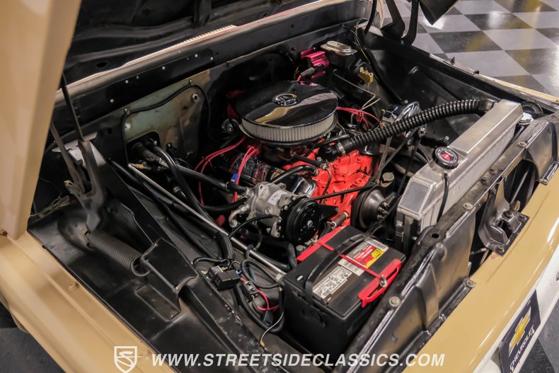 Chevrolet-C10-1966-Tan-Tan-30