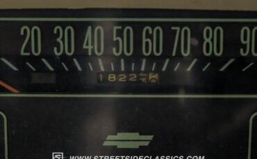 Chevrolet-C10-1966-Tan-Tan-37