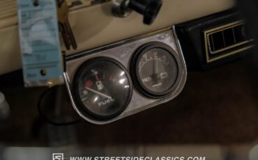 Chevrolet-C10-1966-Tan-Tan-39