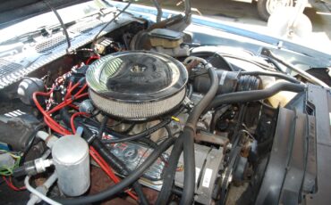 Chevrolet-Camaro-1981-Coupe-1