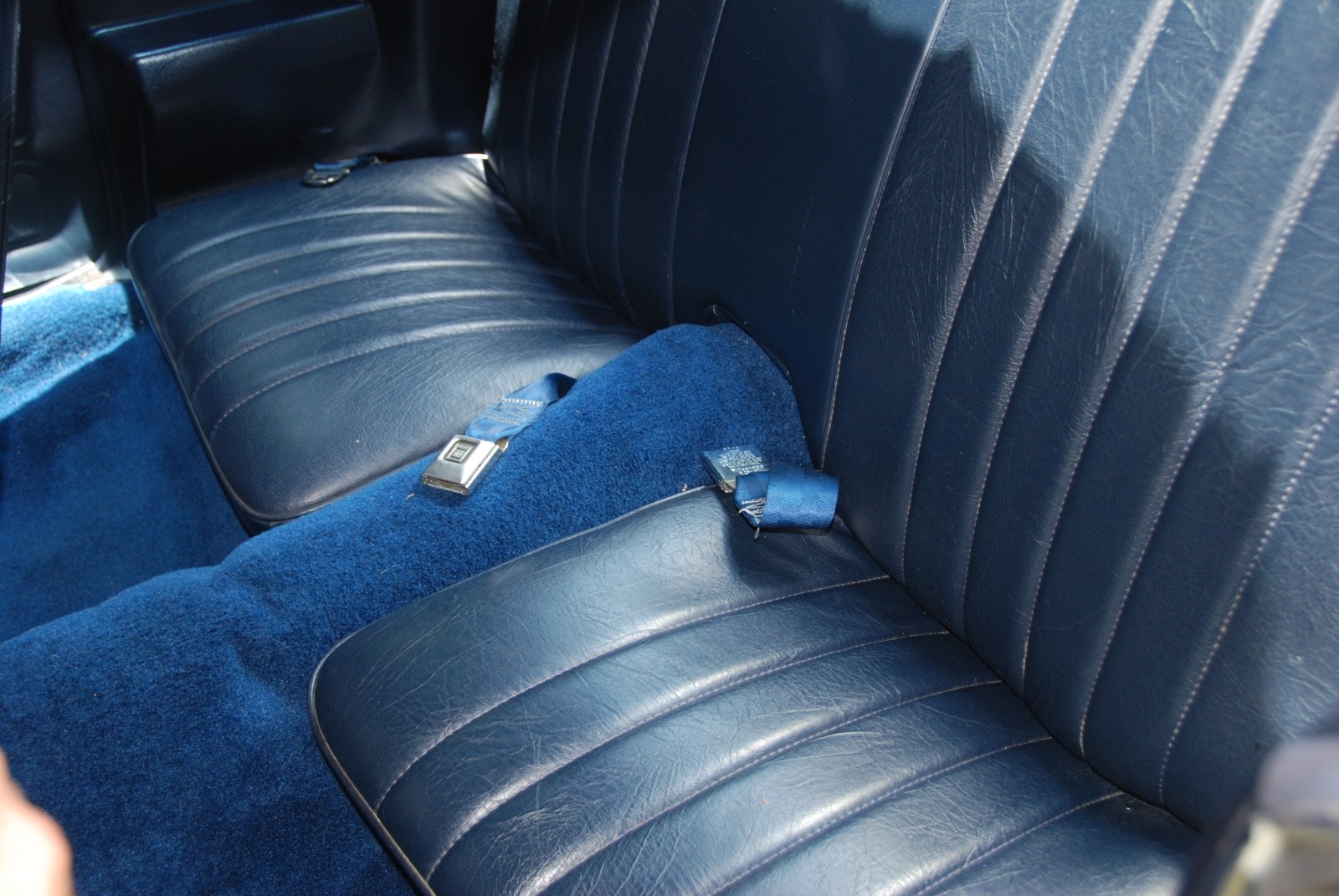 Chevrolet-Camaro-1981-Coupe-5