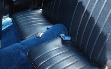 Chevrolet-Camaro-1981-Coupe-6