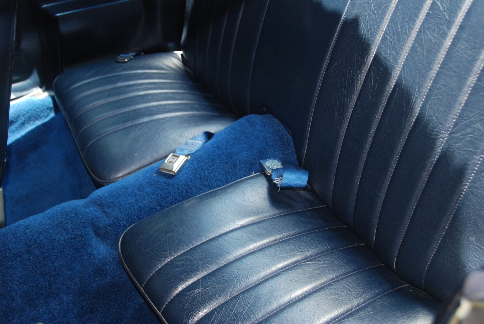 Chevrolet-Camaro-1981-Coupe-6