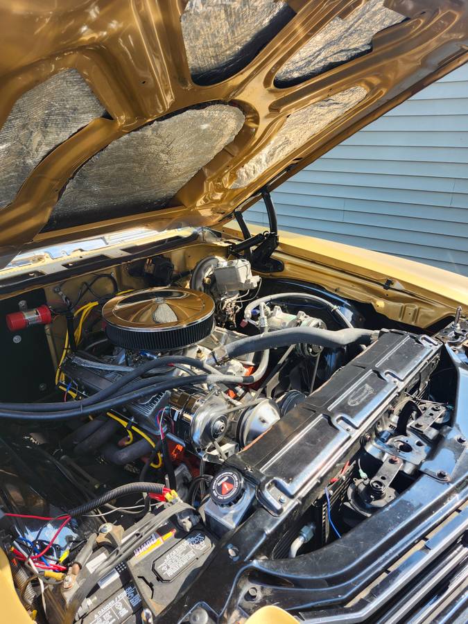 Chevrolet-Chevelle-1971-brown