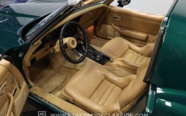 Chevrolet-Corvette-1982-Green-Tan-15