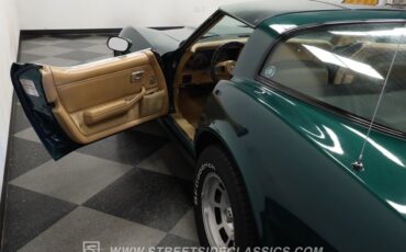 Chevrolet-Corvette-1982-Green-Tan-32
