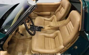 Chevrolet-Corvette-1982-Green-Tan-34