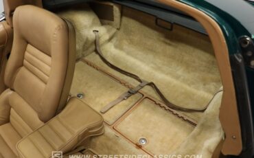 Chevrolet-Corvette-1982-Green-Tan-36