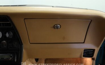 Chevrolet-Corvette-1982-Green-Tan-40