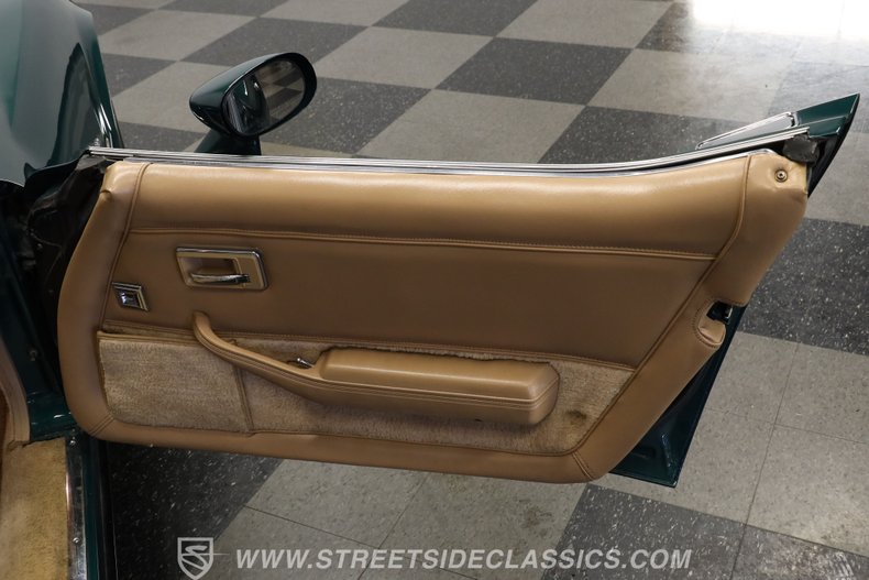 Chevrolet-Corvette-1982-Green-Tan-41