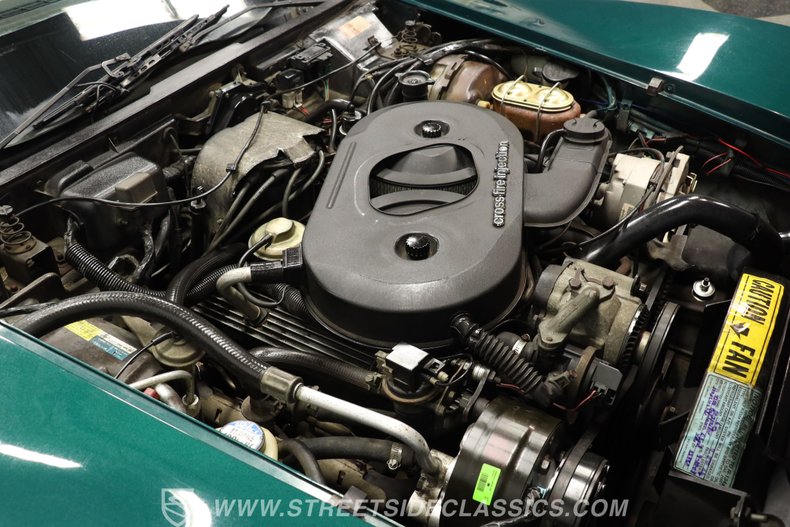 Chevrolet-Corvette-1982-Green-Tan-6
