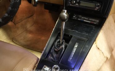 Chevrolet-Corvette-1982-Green-Tan-8