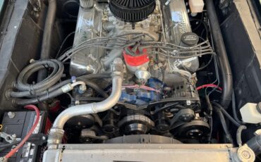 Ford-Mustang-1967-Highland-Green-Black-2