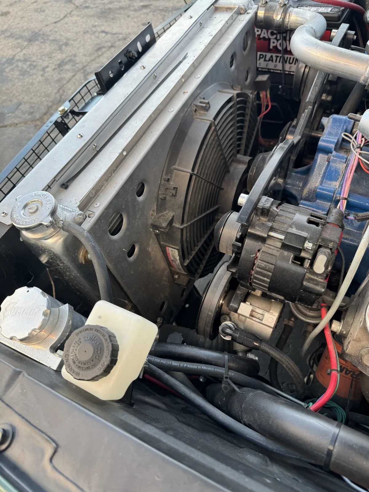 Ford-Mustang-1967-Highland-Green-Black-3