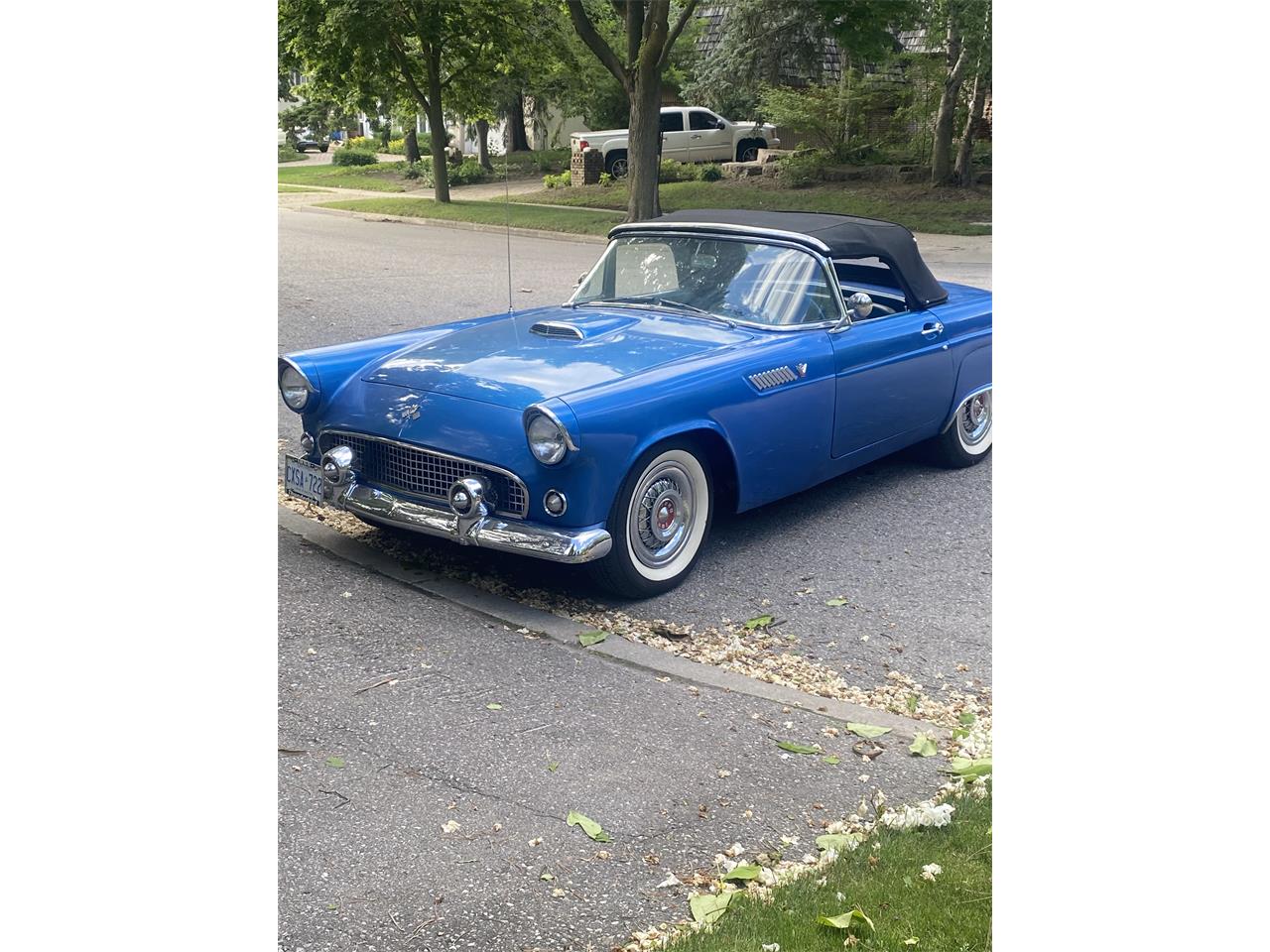 Ford-Thunderbird-1955-Blu-BlueWhite