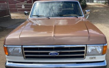 Ford-f-150-1991-brown-1